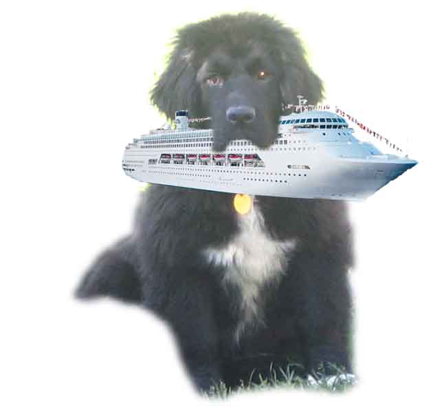 [Princess++4+mo+picks+herself+up]