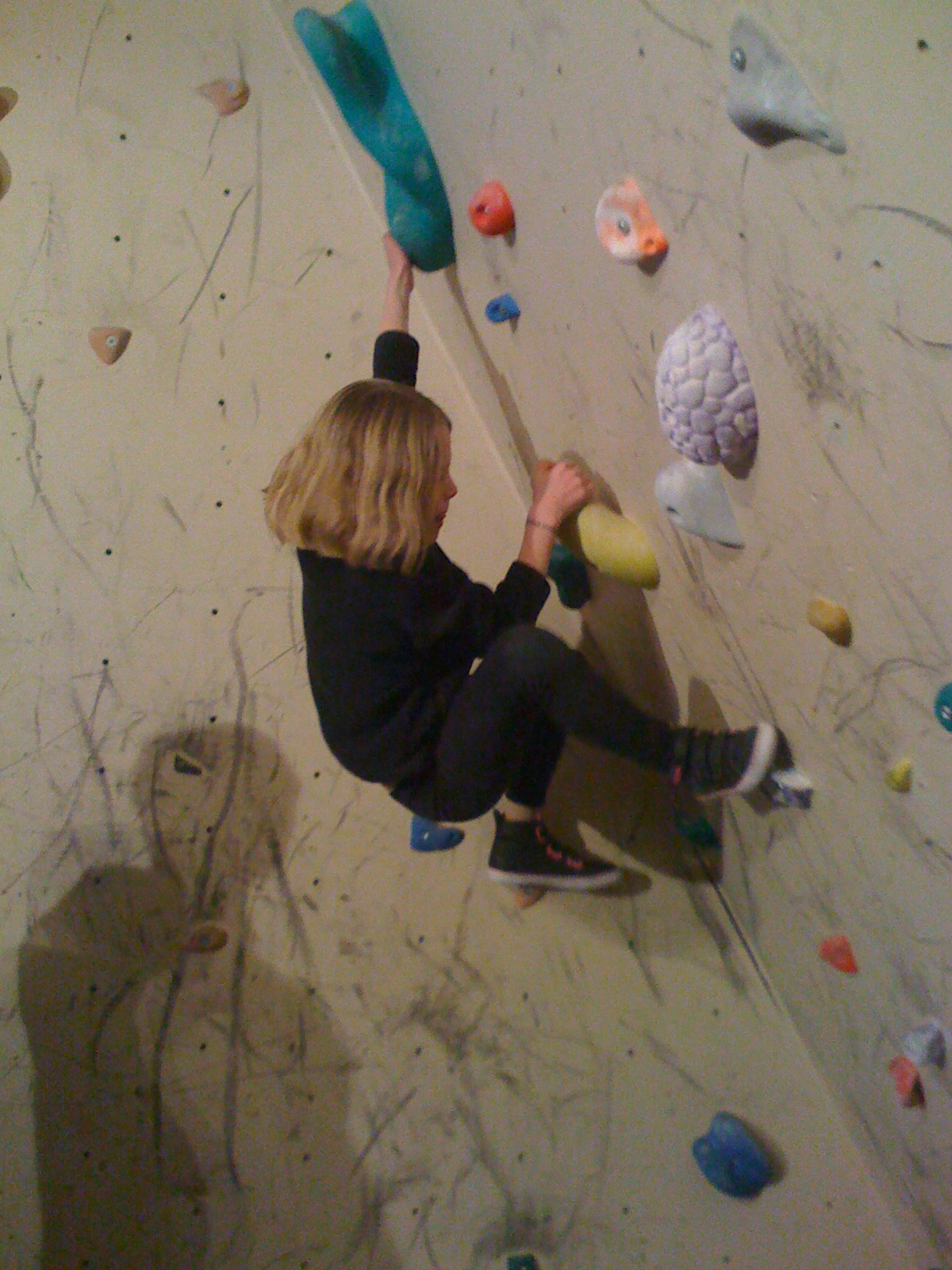 [alvaklättrar2.JPG]