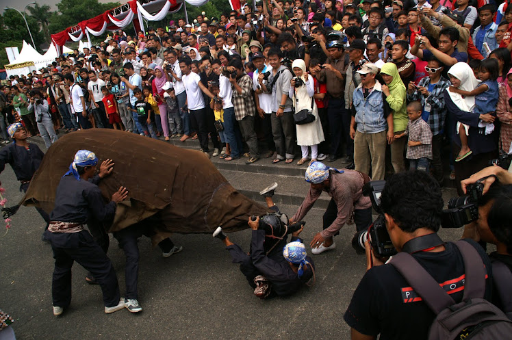 Banteng Ngamuk. 2008