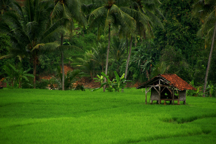 Sebuah Gubuk Tua. 2010