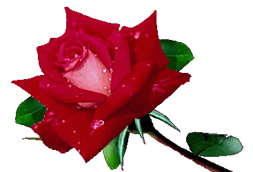 [x1pnp_rgmi5o503b1Zr7t60cUCMY_i6XYigDKYsSb7IGuGeI1A4Uxj-Z_QaPzVWYM9wOG0cc6TJoAdq8W_vEk57XpWSX3s4ZozbYbl9ZVo3Zt9aPUluoqQV4dZEQFtW77IyJrOvrjQg4G8.gif]