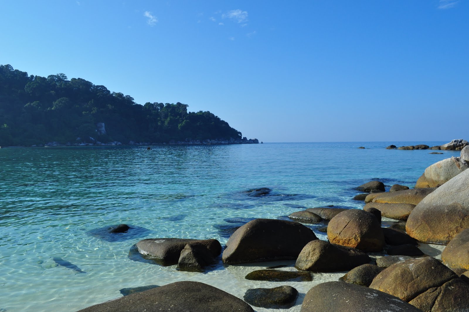 [DSC_0309.JPG]