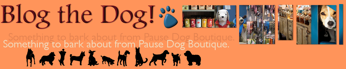 Pause Dog Boutique