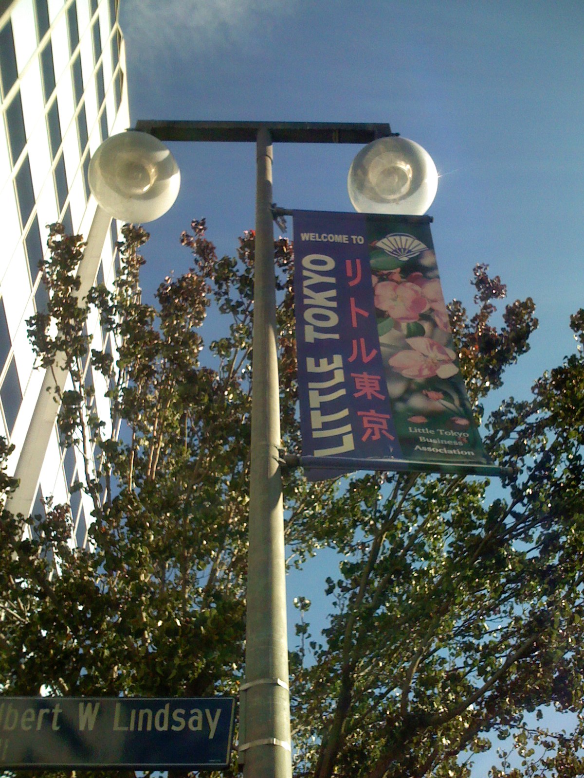 weezermonkey From Little Tokyo to La Taquiza