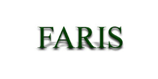 Manipulasi font, kreasi font,font creation,times new roman