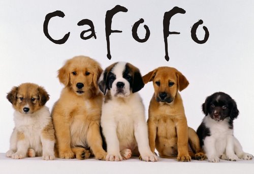 Cafofo