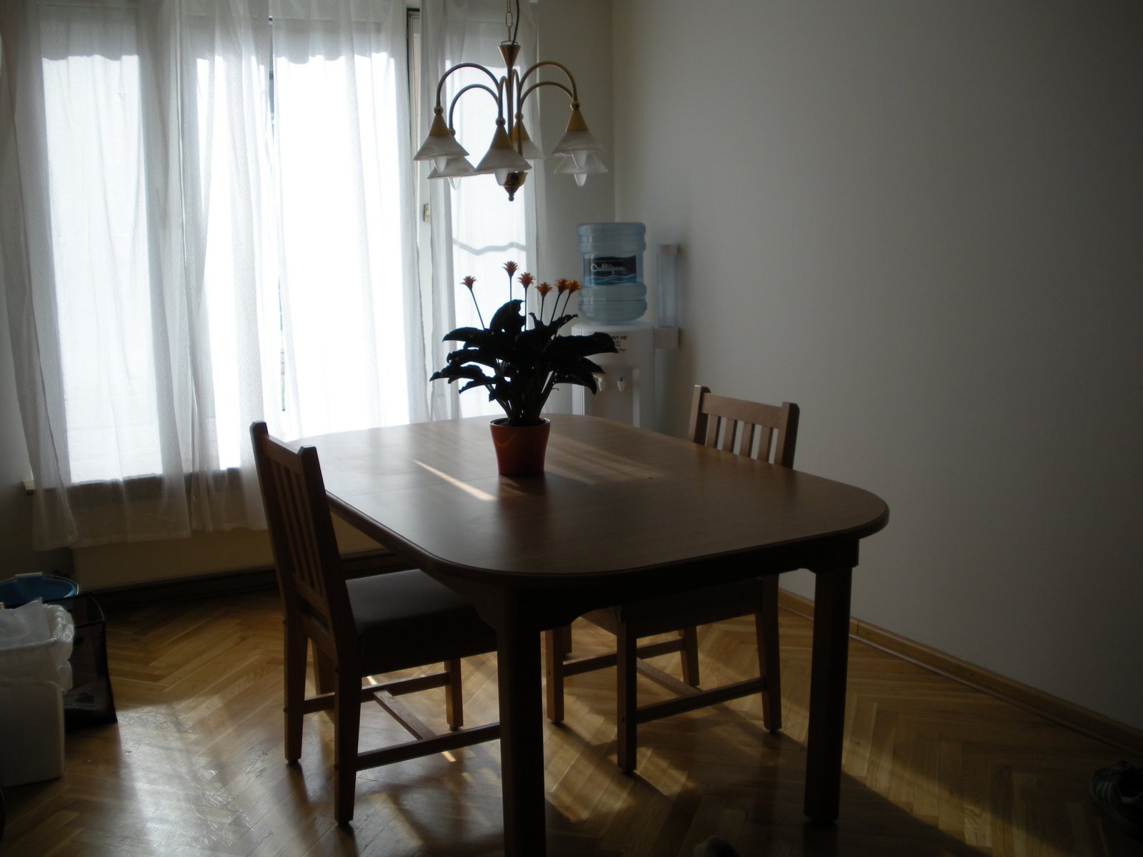 [Dining+Room+1+-+Before.JPG]