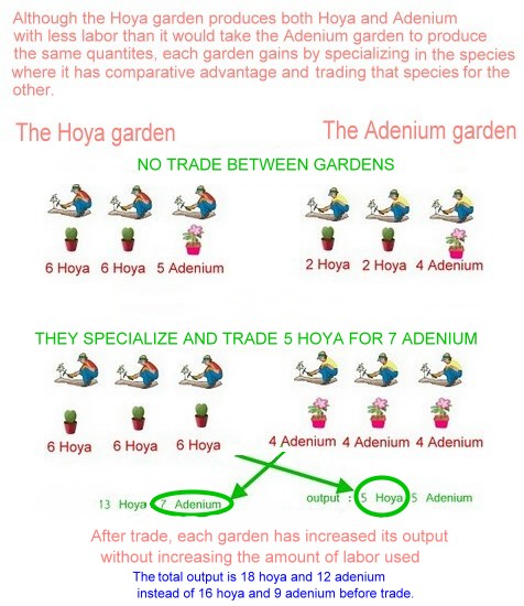 Comparative+advantage+chart