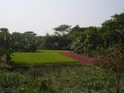 Bangladesh Village Pictures