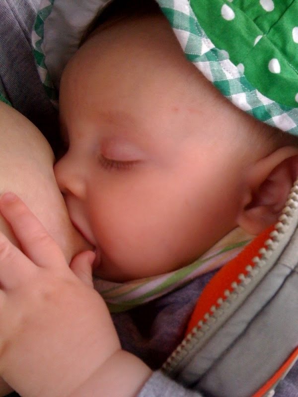 Women+breastfeeding+to+animals
