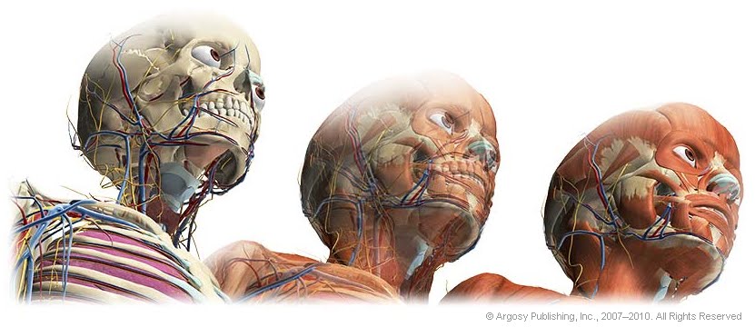 visible body 3d human anatomy atlas for windows crack