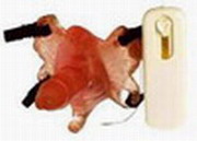 Mariposa estimula clitoris ano con mini pene (vibracion regulable)