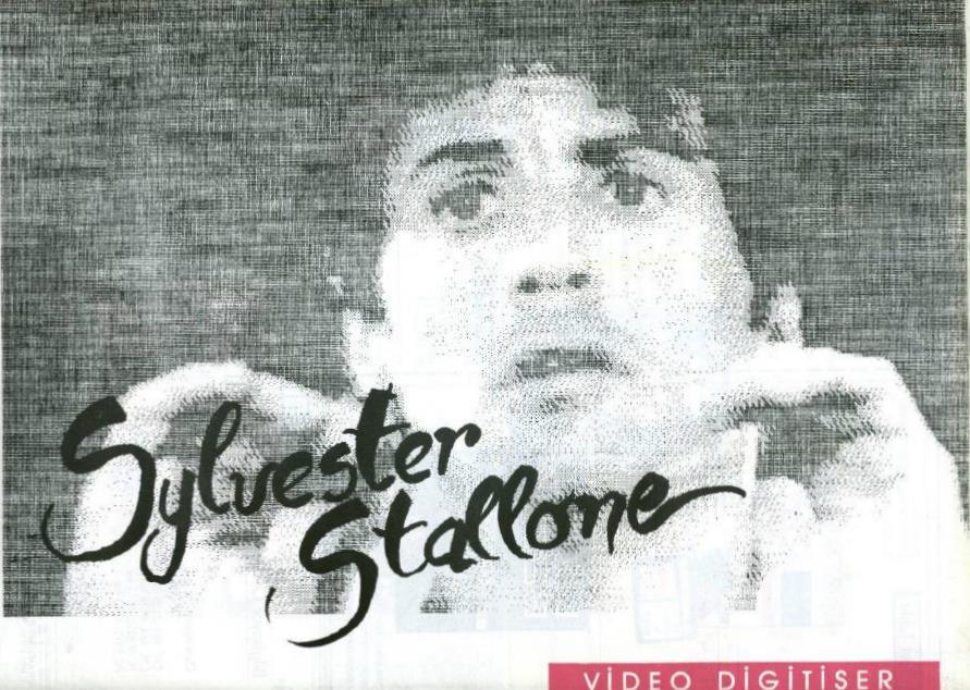 sylvester stallone houses. sylvester stallone houses. sylvester stallone houses.