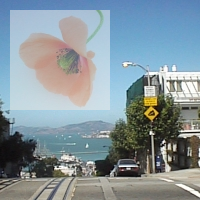 SVGRendererで半透明にして重ね合わせた画像