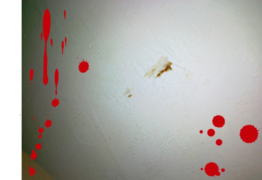Gambar+Pelir+Besar Hisap Kemaluan http://rdbassettebuilders.com/surrounding-hisap-memek ...