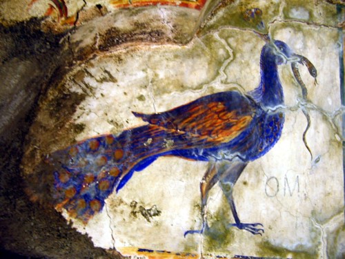 [peacock.JPG]