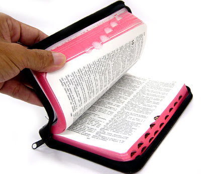 LEER LA BIBLIA EN UNA leer la biblia en una: