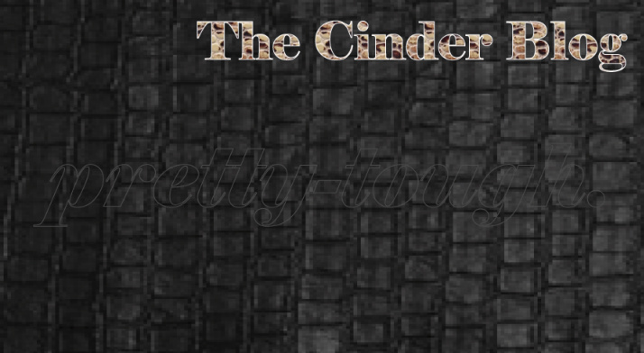 The Cinder Blog