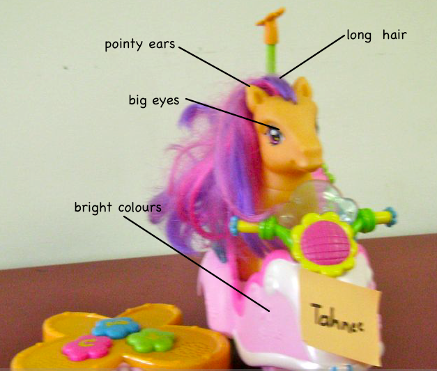 Room 14 Sunnybrae Normal School Using Adjectives to Describe Our