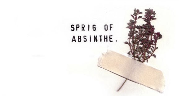 sprig of absinthe