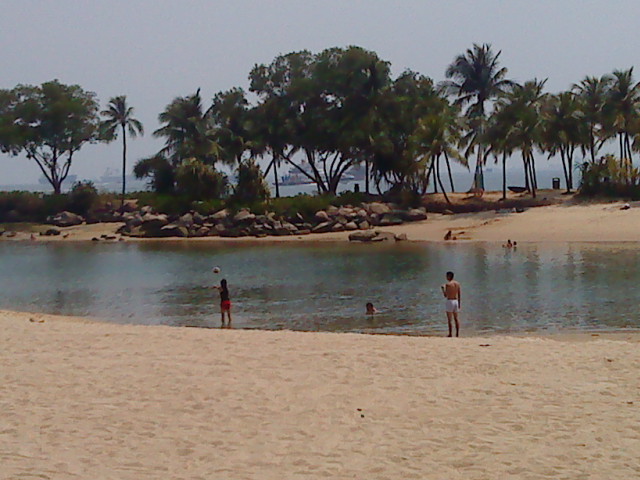 [DSC08949.JPG]