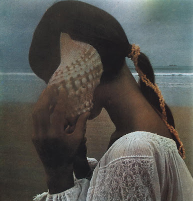 David Hamilton