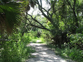 Eagan's Creek Greenway