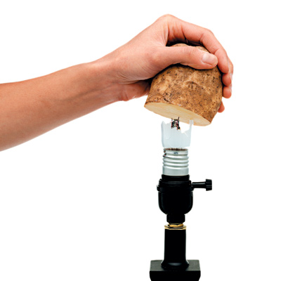 1 Renovation Remove the Base of a Broken Light Bulb