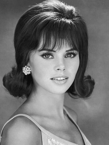 vintage dress ups 1960's hair