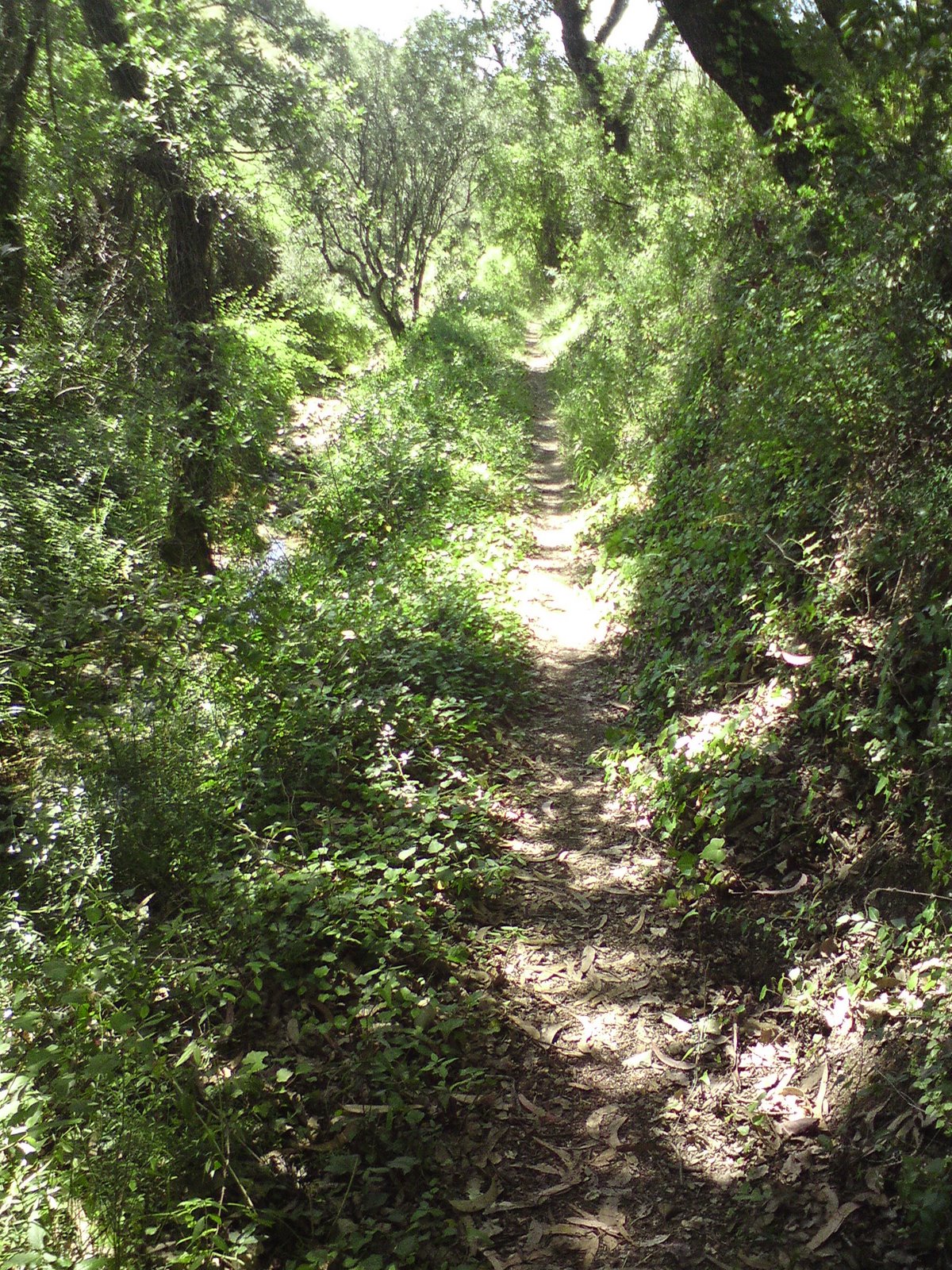 [DSC01296.JPG]