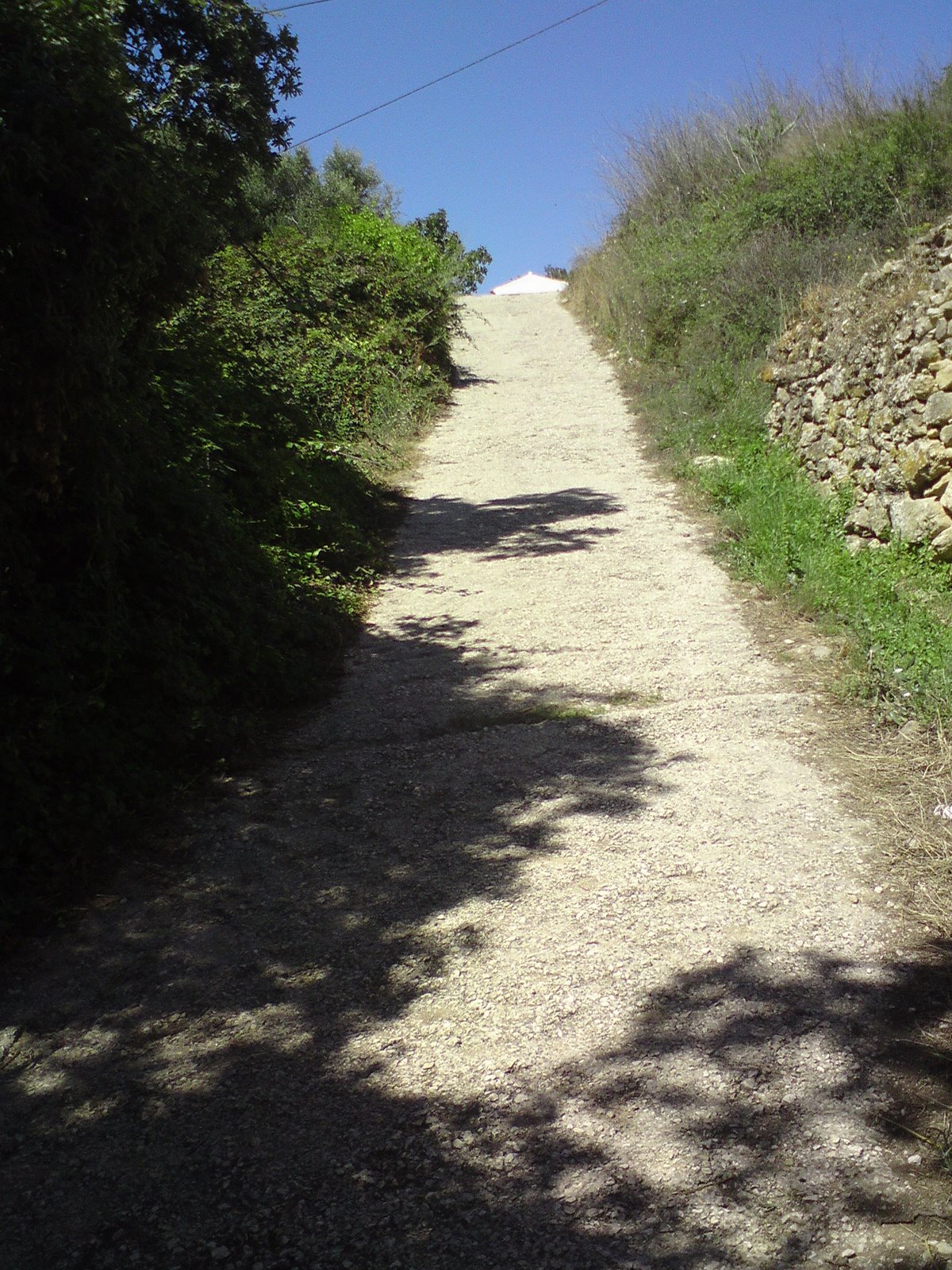 [DSC01286.JPG]