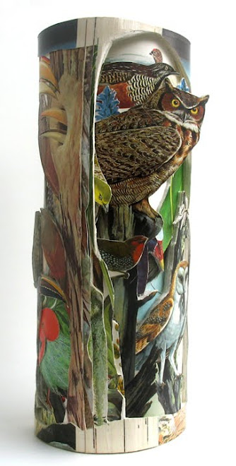 Birds of the World ~ View 1