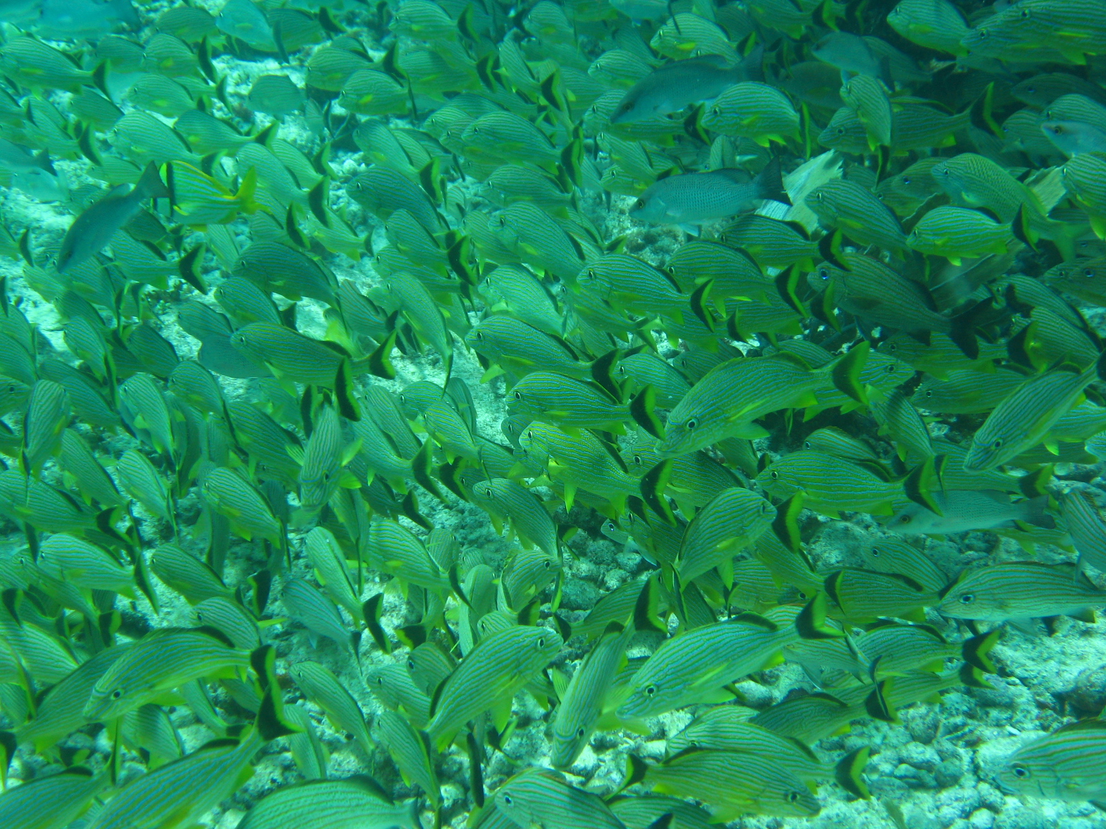 [Cancun+2007+125.jpg]