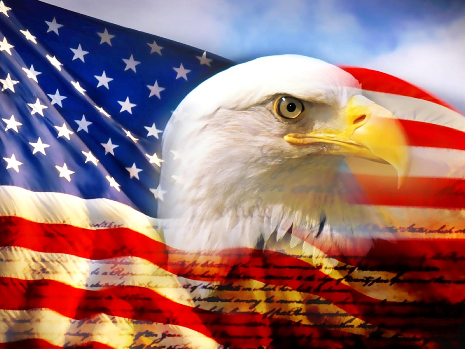 http://4.bp.blogspot.com/_cG2H5fcinkI/TMEHVOy0z-I/AAAAAAAADpg/Gv2M2dbRvPA/s1600/bald_eagle_head_and_american_flag1.jpg