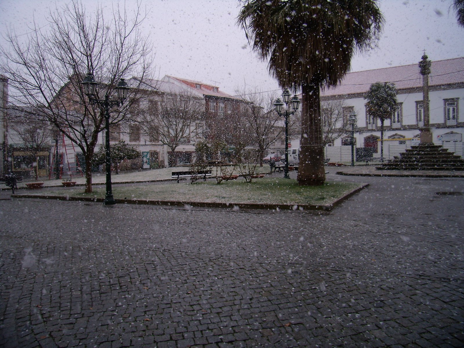 [P1200007.JPG]
