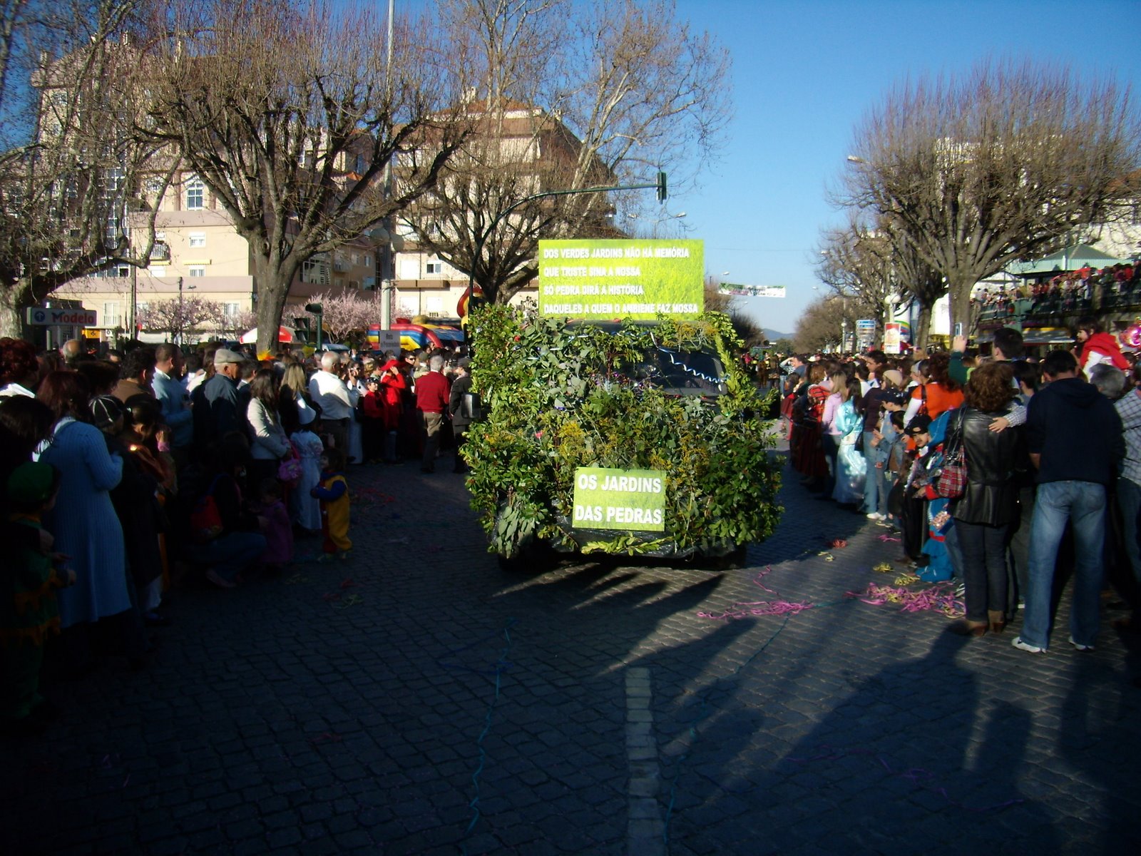 [P2240170.JPG]