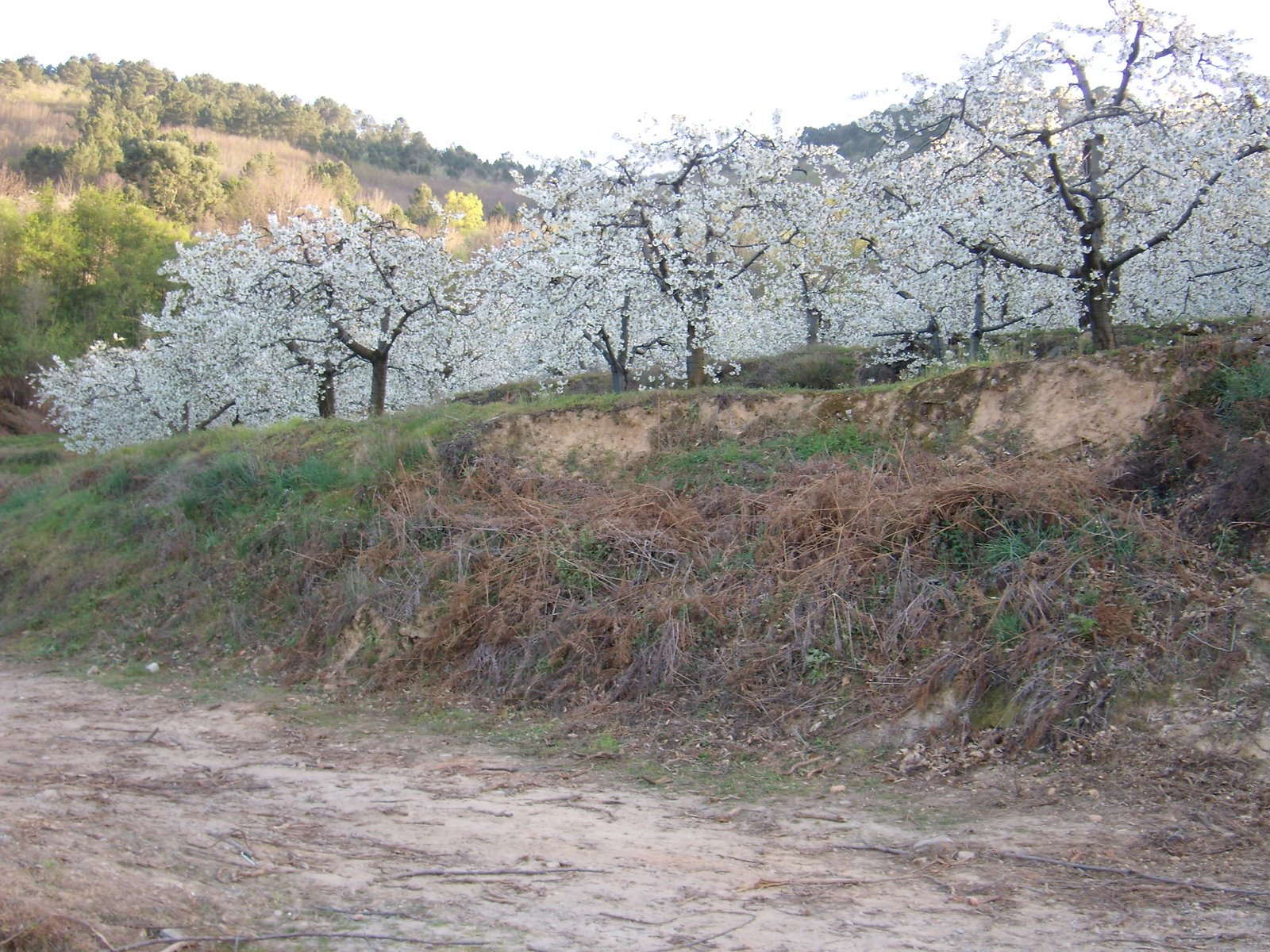 [P3260005.JPG]