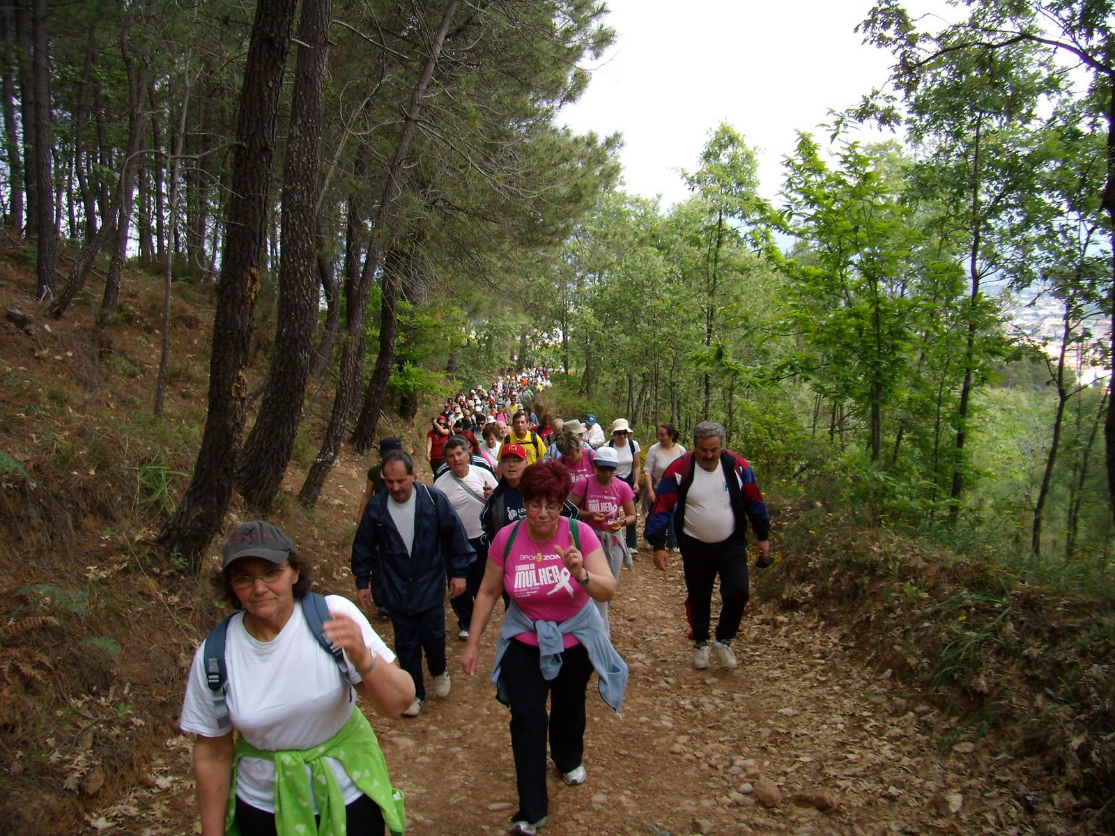 [P5180029.JPG]