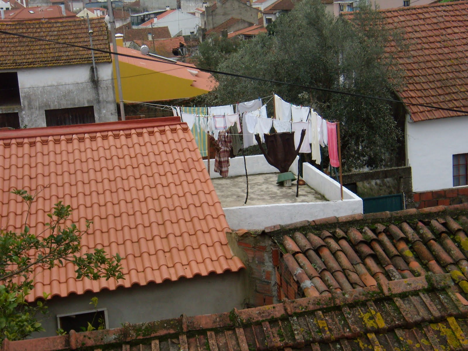 [PC230037.JPG]