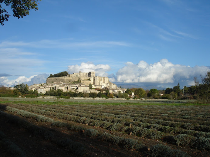 chateau de Grignan, Novembre, les lavandes sont récoltées en juillet
