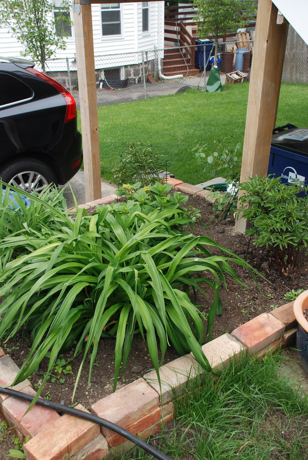 Tone On Tone Interior Garden Design Our White Border Garden