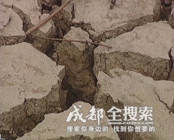 [雨水，我渴望得到你的抚摸。.php]