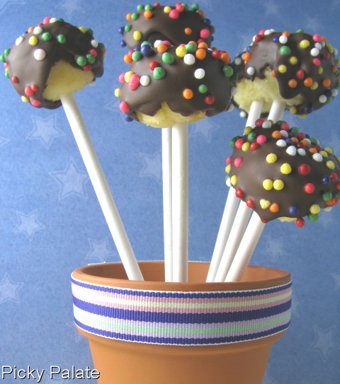 [IMG_4432-Titled.jpg]