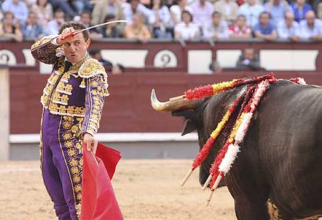 dorrida de toros dorrida de toros