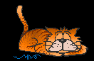 [image0095.gif]