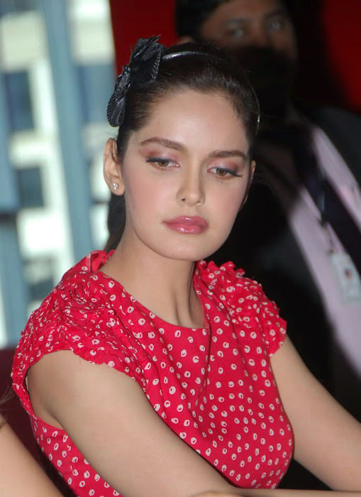 shazahn padamsee new from event photo gallery