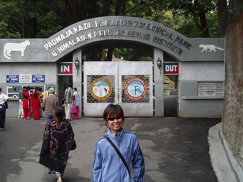 DARJEELING GUIDE: Padmaja Naidu Himalayan Zoological Park Darjeeling