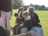 Pumpkin patch