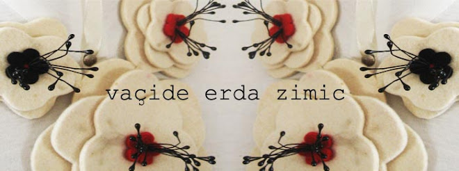 vacide erda zimic