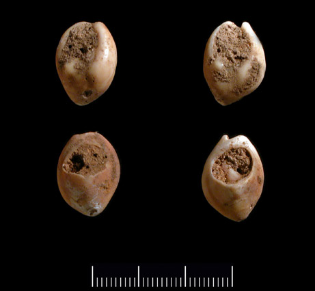 [070607-oldest-beads_big.jpg]